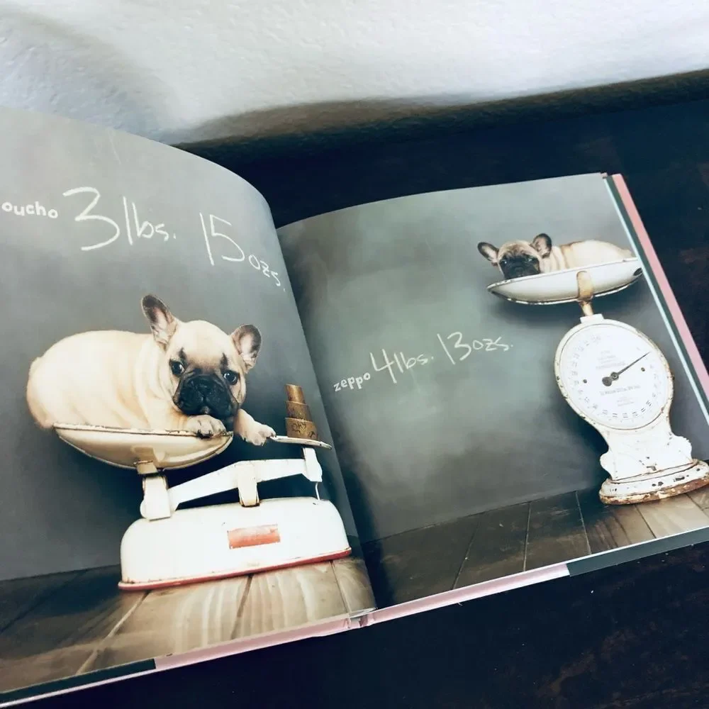 Lightweight Littermates Puppy Dog Portrait Photo Book